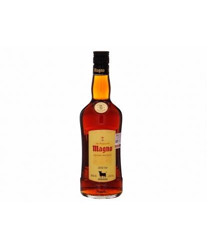 BRANDY DE JEREZ SOLERA RESERVA MAGNO 70 CL