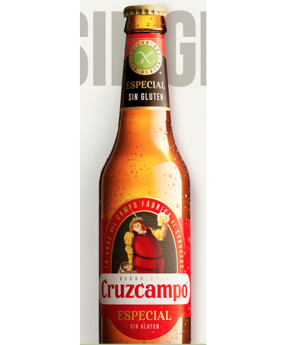 HEINEKEN 33 CL (1/3) NO RETORNABLE